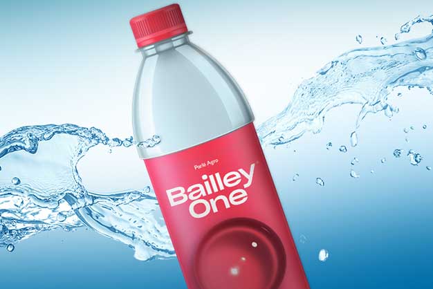 Bailley One - Mineral Water [500 Ml]